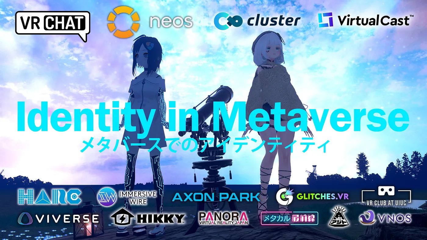 Metaverse Identity Survey.